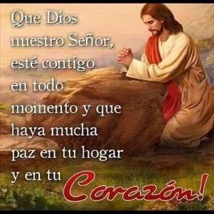 Meet your Posher, Luz